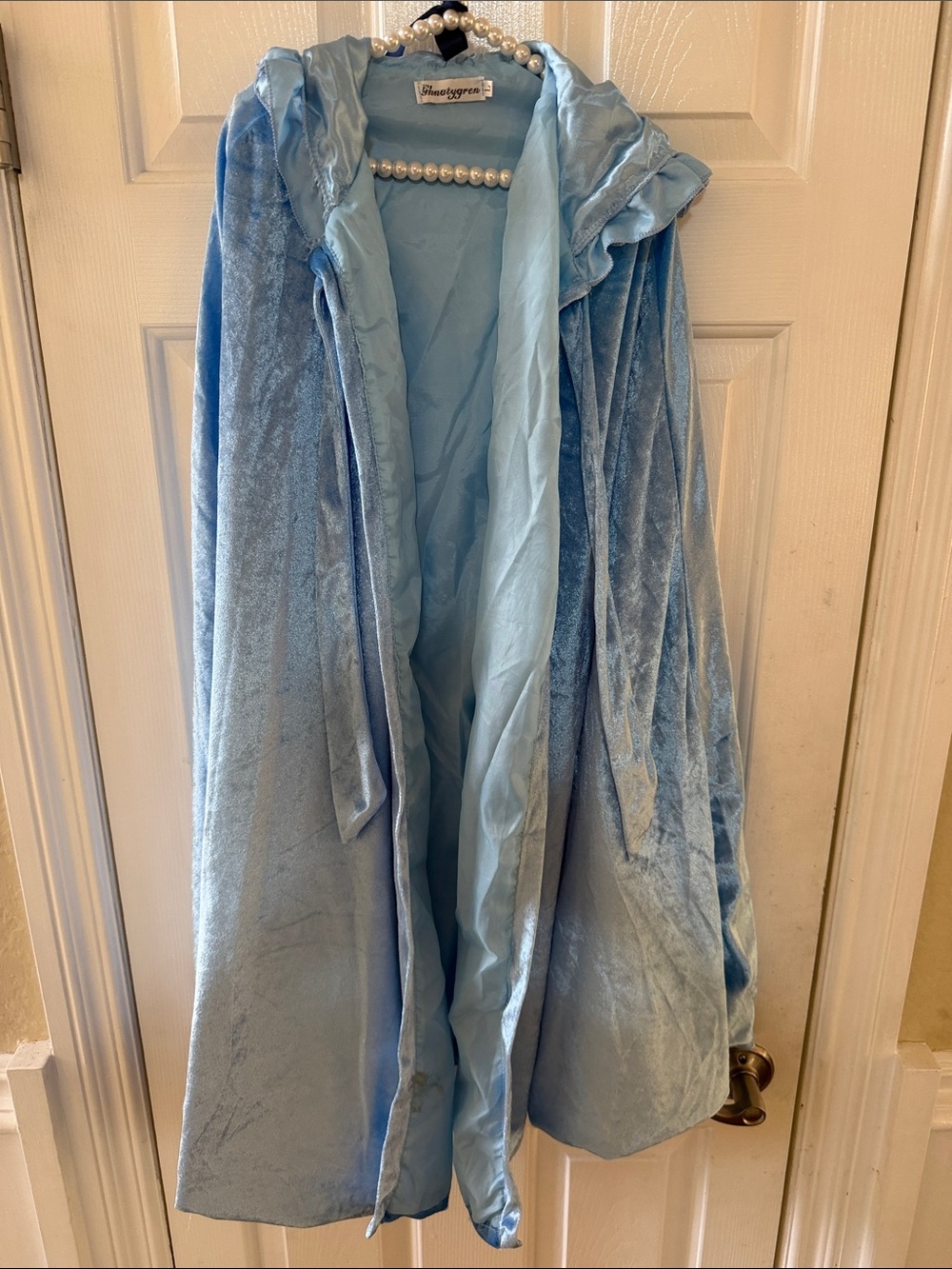 Blue Velvet Hooded cape